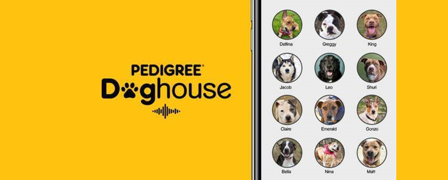 Pedigree использовал Clubhouse, чтобы найти питомцам дом