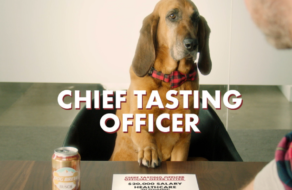 Производитель пива для собак ищет четвероногого директора по вкусу на зарплату $20 тыс.