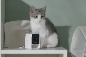 Украинцы получили Red Dot Award за Petcube Cam