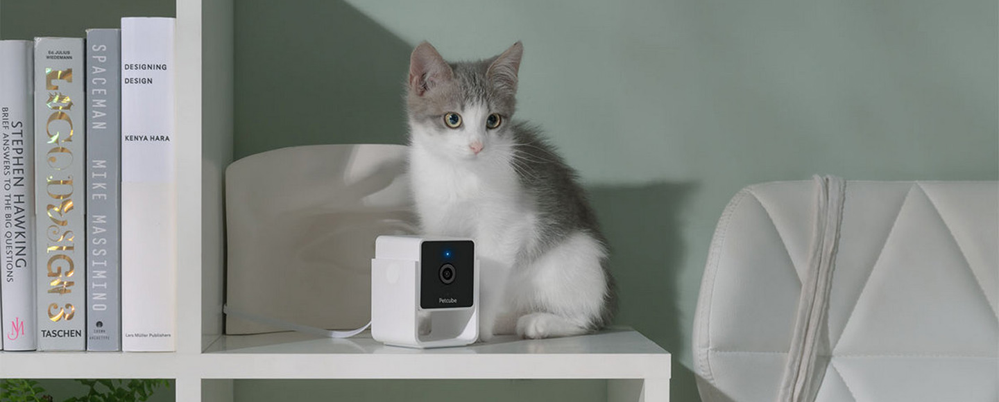 Украинцы получили Red Dot Award за Petcube Cam