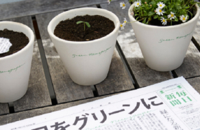 В Японии издали газету, из которой можно вырастить цветы