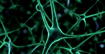Нейромаркетинговые лаборатории и нейрошопы: топ-тренды в нейромаркетинге