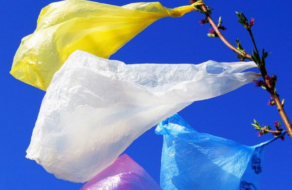 Рада заборонила в Україні пластикові пакети