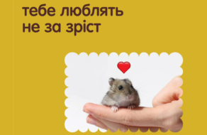 Реклама киевского зоопарка напомнила о безусловной любви