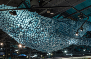 «Сільпо» відкрив магазин у морському стилі з китами