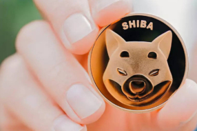 Монета Shiba Inu взлетела в цене после поста Илона Маска с фото своей собаки