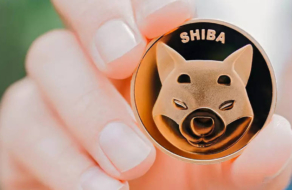 Монета Shiba Inu взлетела в цене после поста Илона Маска с фото своей собаки