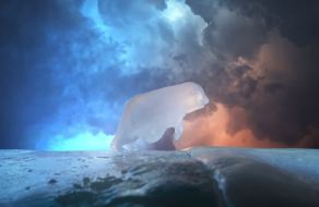 WWF выпустил stop-motion ролик, используя только тающий лед