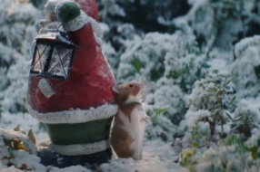 Для голландской сети супермаркетов создали рождественский ролик о любви хомяка