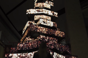Mall of the Emirates сжигает рождественскую елку, чтобы напомнить об изменении климата