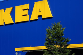 IKEA купила более 1200 га земли, пострадавшей от урагана, чтобы посадить новый лес