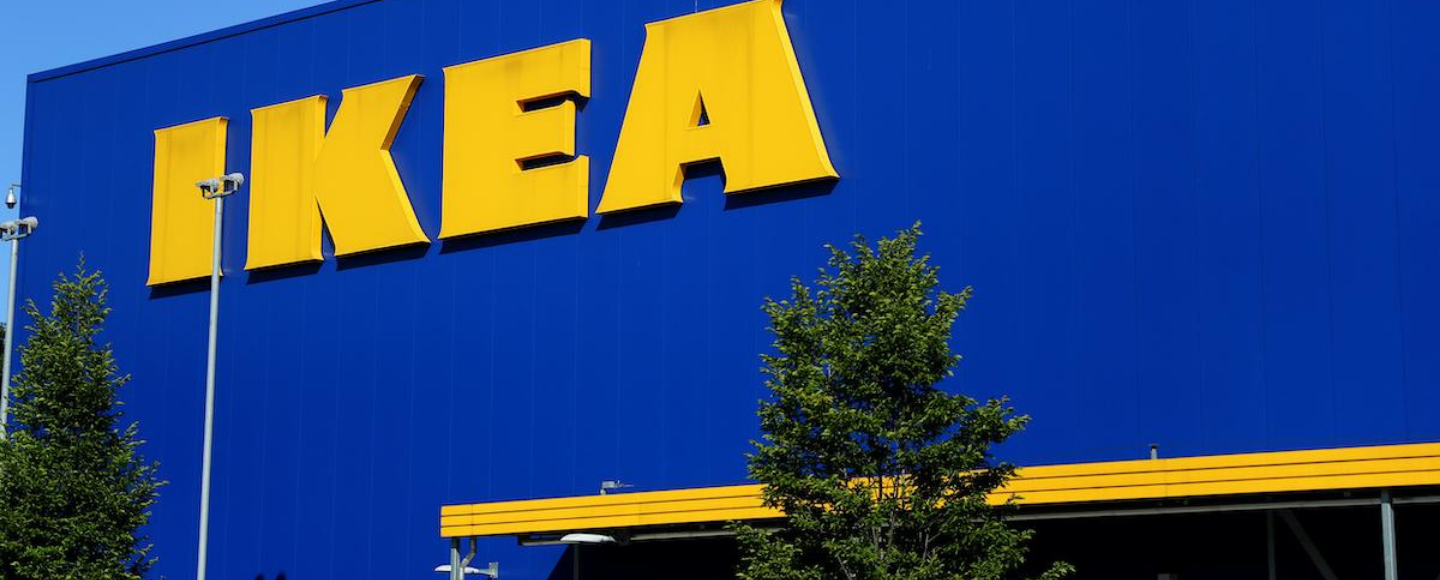 IKEA купила более 1200 га земли, пострадавшей от урагана, чтобы посадить новый лес