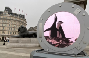 Greenpeace установил портал в Антарктиду в Лондоне