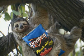 Megan Thee Stallion и Чарли Пут проверяют свои животные инстинкты в рекламе Frito-Lay для Super Bowl