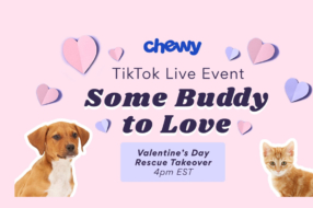 Chewy помогает пользователям TikTok найти «приятеля для любви» в День святого Валентина