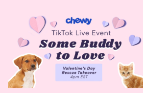Chewy помогает пользователям TikTok найти «приятеля для любви» в День святого Валентина