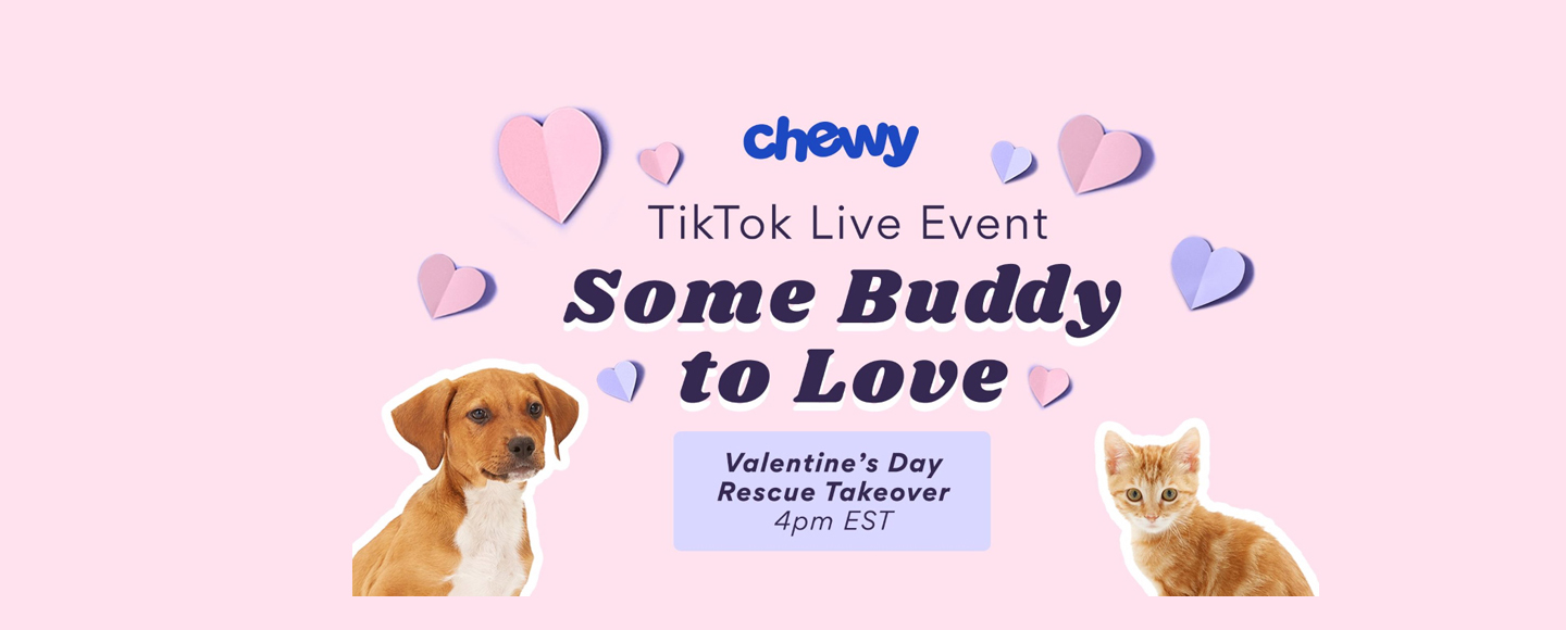 Chewy помогает пользователям TikTok найти «приятеля для любви» в День святого Валентина