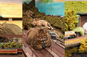 Железнодорожные коты: как бездомные кошки спасли ресторан от пандемии