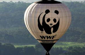 WWF отказалась от продажи NFT животных из-за критики защитников климата