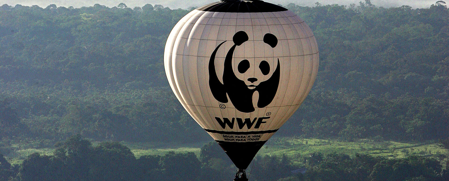 WWF отказалась от продажи NFT животных из-за критики защитников климата