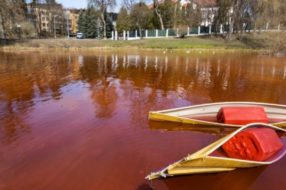 У Литві воду в ставку біля посольства росії пофарбували у кривавий колір