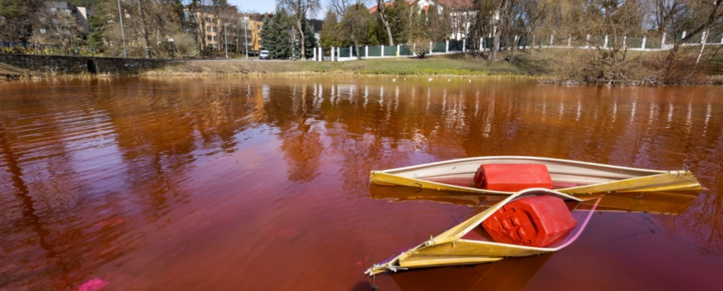 У Литві воду в ставку біля посольства росії пофарбували у кривавий колір