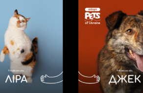 Ініціатива Adopt pets of Ukraine допомагає знайти дім тваринам