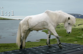 Ісландія пропонує туристам дозволити відповідати на електронні листи коням