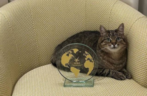 Кіт Степан отримав нагороду World Influencers and Bloggers Awards