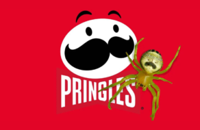 Pringles знайшов свій талісман на природі у вигляді вусатого павука