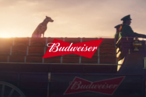 Budweiser конвертує перегляди реклами у сонячну енергію