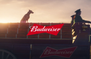 Budweiser конвертує перегляди реклами у сонячну енергію