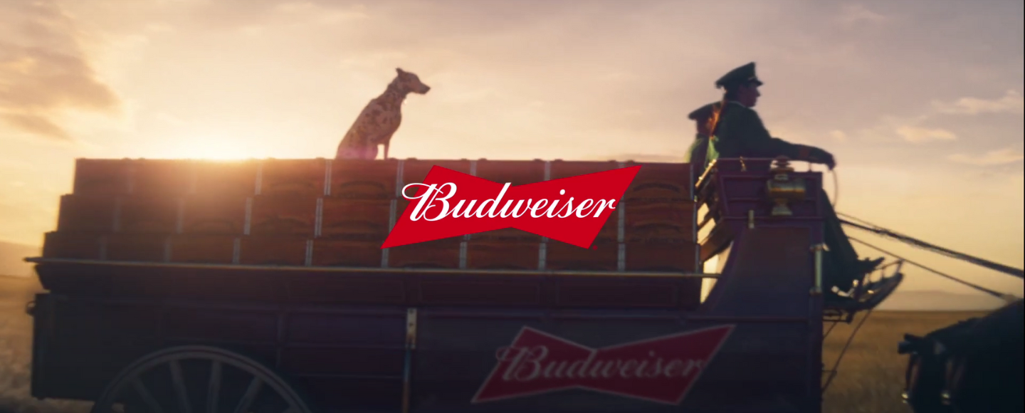 Budweiser конвертує перегляди реклами у сонячну енергію