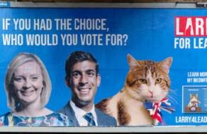 Кіт запустив власну передвиборчу кампанію у Великобританії