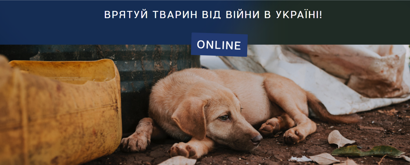 UAnimals розпочав віртуальний марш для порятунку реальних тварин