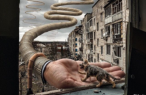 Ілюстрована кампанія нагадала про допомогу бездомним тваринам в Україні