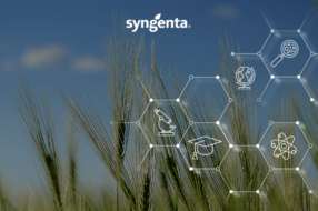 Культурний всесвіт — Syngenta