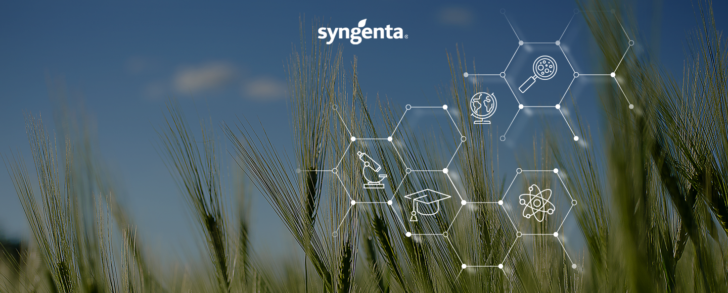 Культурний всесвіт — Syngenta