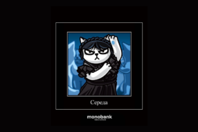 Кіт із monobank змінив образ