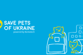 Save Pets of Ukraine: нагодувати та зігріти чотирилапих у біді