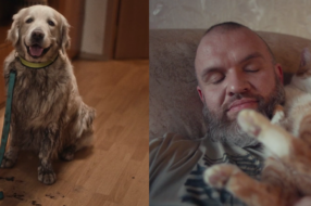 Подряпані меблі, кава зі смаком шерсті, ніжність, вірність та любов: ролик показав життя з домашніми тваринами
