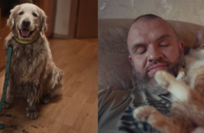 Подряпані меблі, кава зі смаком шерсті, ніжність, вірність та любов: ролик показав життя з домашніми тваринами