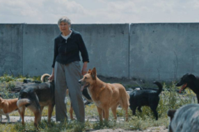 Українські кінематографісти запускають соцпроєкт про волонтерів, які рятують тварин