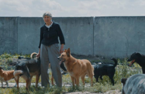 Украинские кинематографисты запускают соцпроект о волонтерах, которые спасают животных