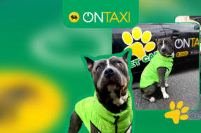Як в OnTaxi «влаштували на роботу» пса-водія. Наймиліша історія в ситуативному маркетингу