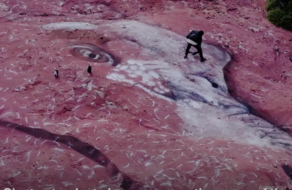 Apple створив гігантські зображення тиранозавра рекса та інших на природних ландшафтах