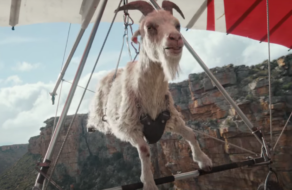 Літаюча коза стала героїнею ролика Virgin Media