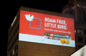 «Гуляй свободно, птичка»: компания по производству яиц обратилась к логотипу Twitter