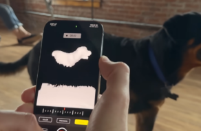 Ролик показав, як iPhone 14 допомагає тваринам з втраченими кінцівками