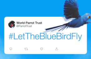 Ілона Маска закликали пожертвувати логотип Twitter задля порятунку вимираючих видів
